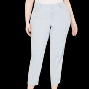Charter Club Plus Size Railroad Striped Ankle Jeans